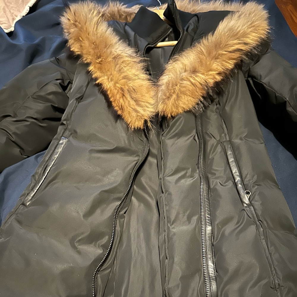 Designer winter coat for women